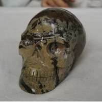 2.75LB Natural Leopard Skin Jasper Crystal Skulls Carving Head Healing