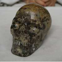 3.23LB Natural Leopard Skin Jasper  Skulls Carving Head Healing